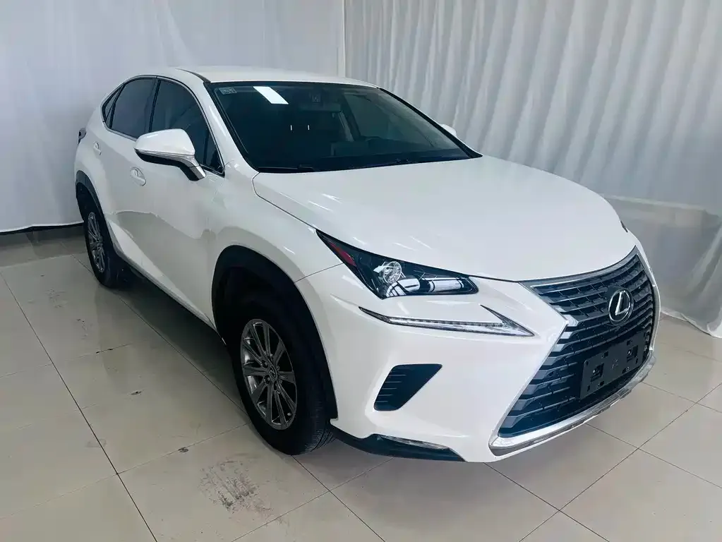 Lexus NX 2021 из CN, фото 7