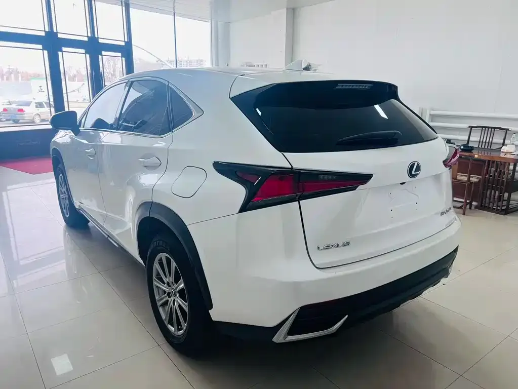 Lexus NX 2021 из CN, фото 5