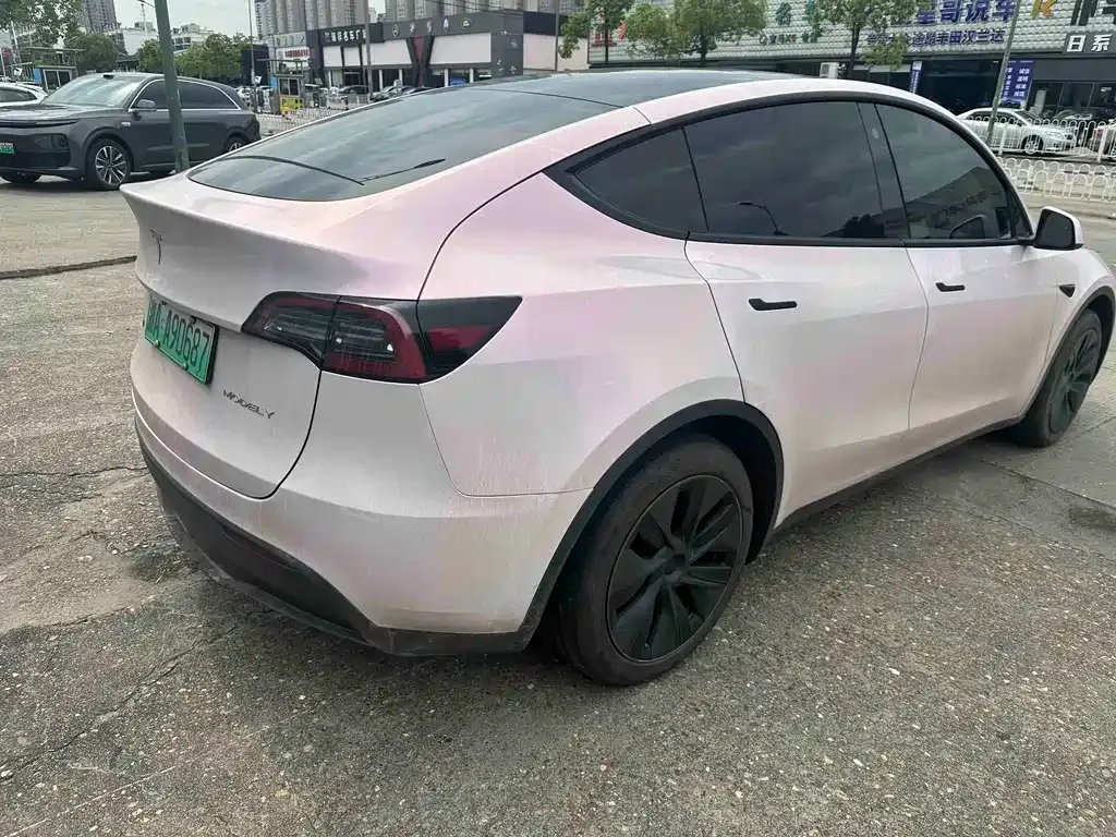 Tesla Model Y — фото 8