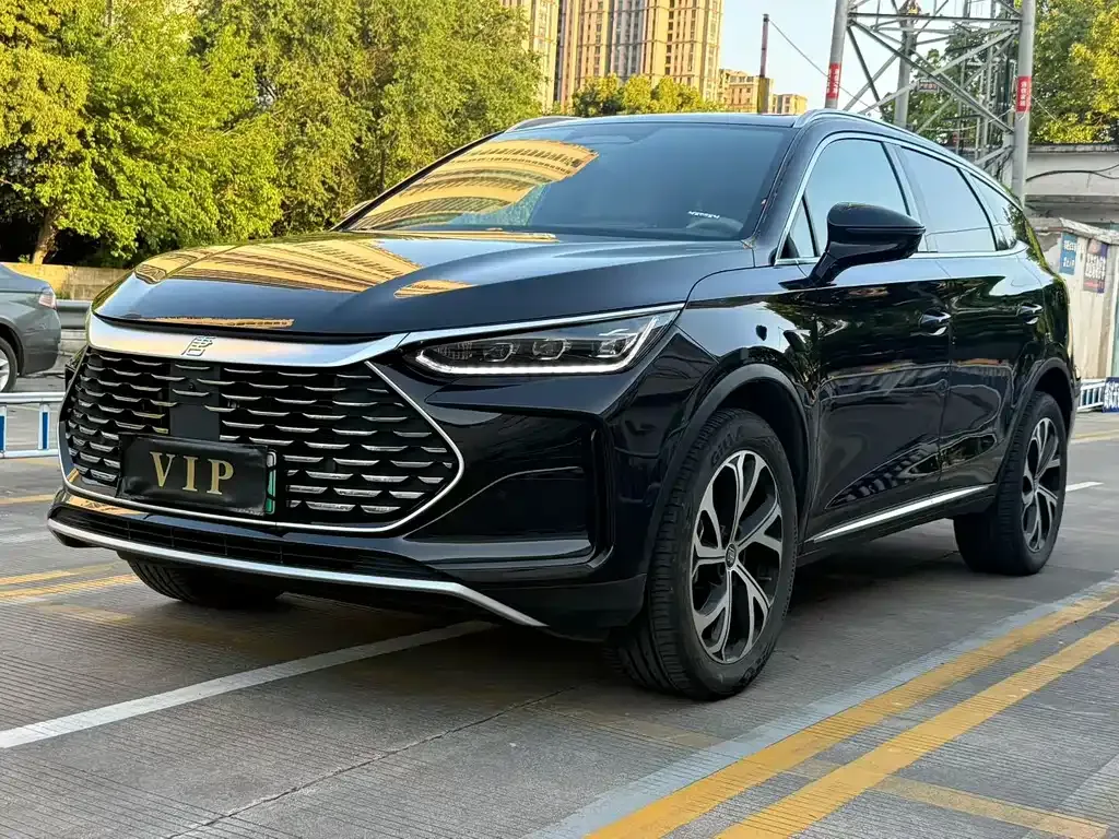 BYD Tang New Energy — фото 1