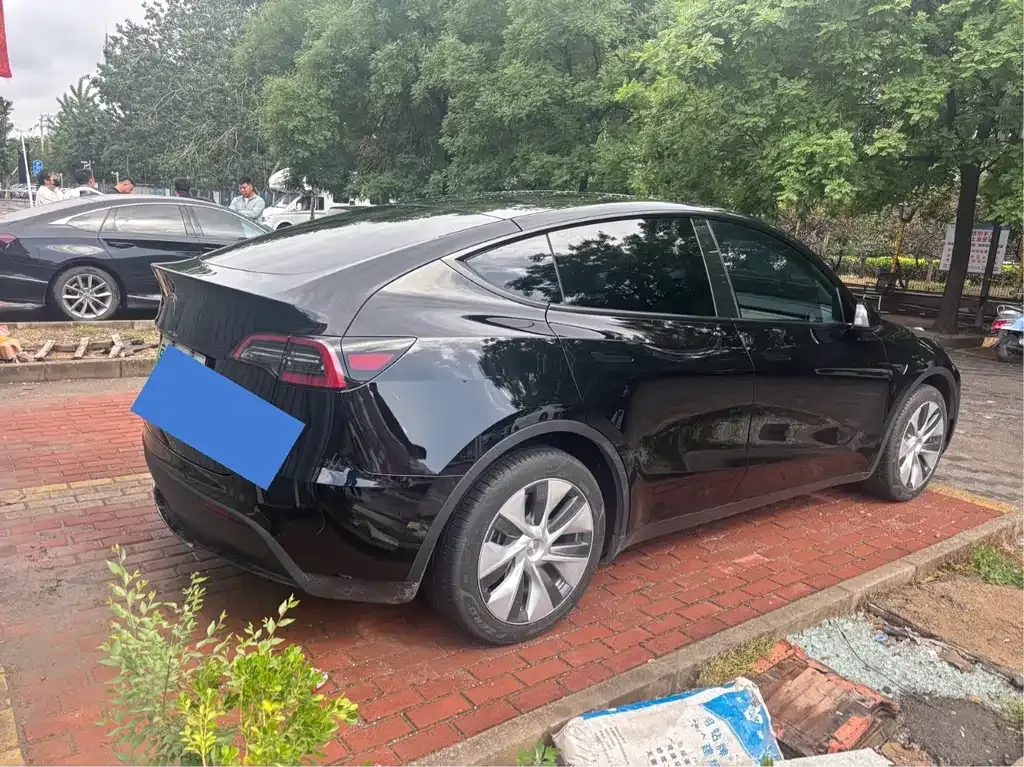 Tesla Model Y — фото 3