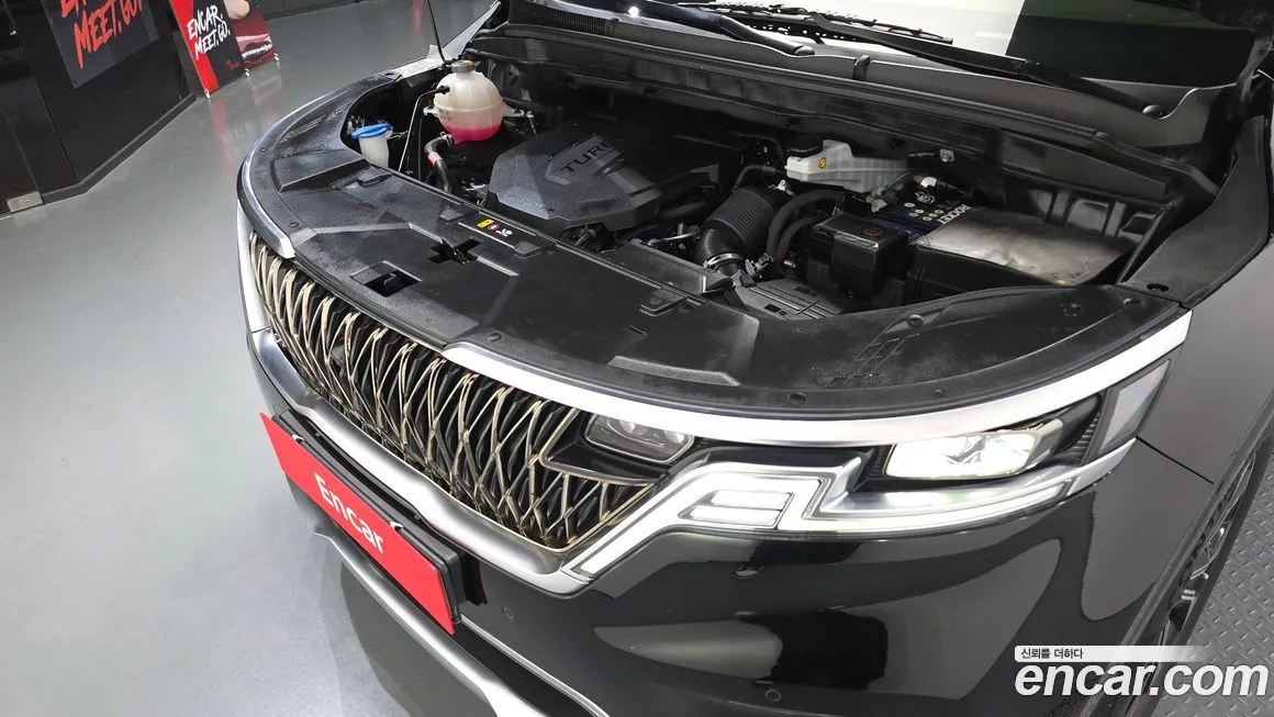 Kia Carnival — фото 10