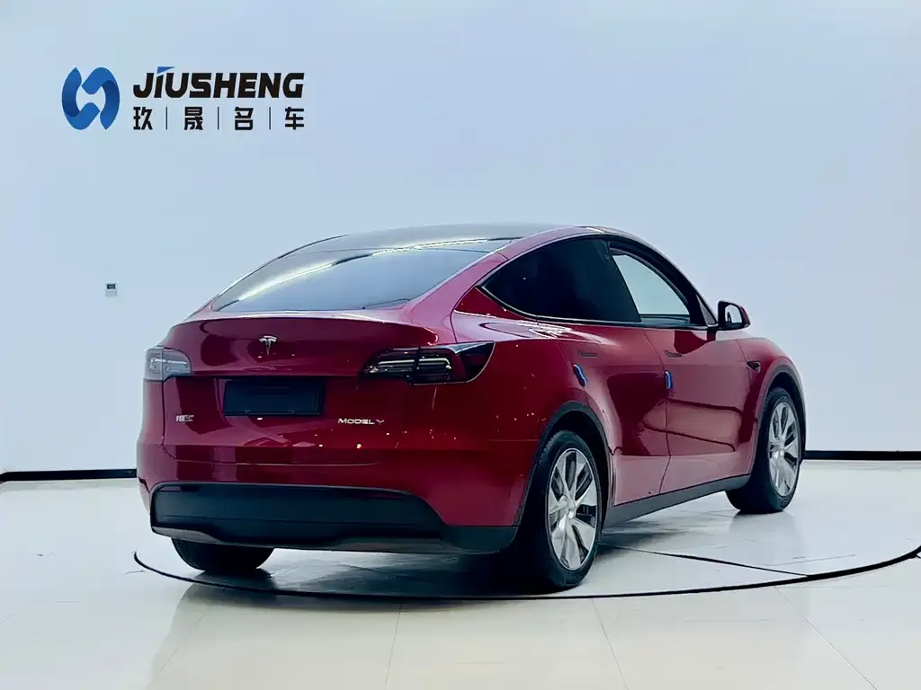 Tesla Model Y — фото 10