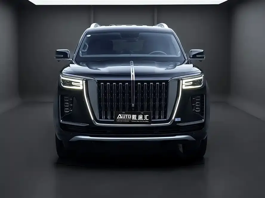 Hongqi Golden Sunflower Guoyao 2026 из CN, фото 8