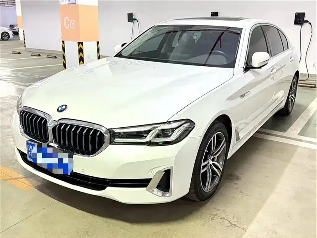 BMW 5 Series 530Li xDrive Luxury 1