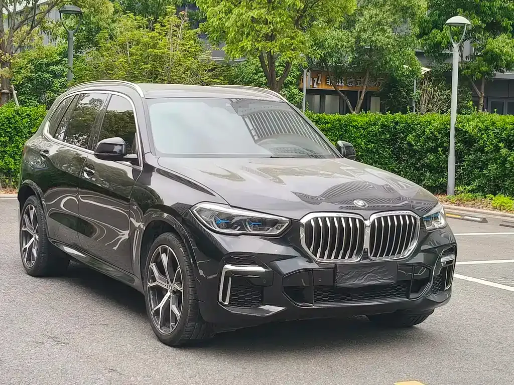 BMW X5 — фото 10