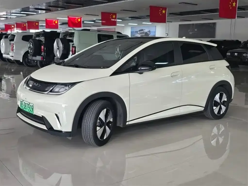 BYD Dolphin