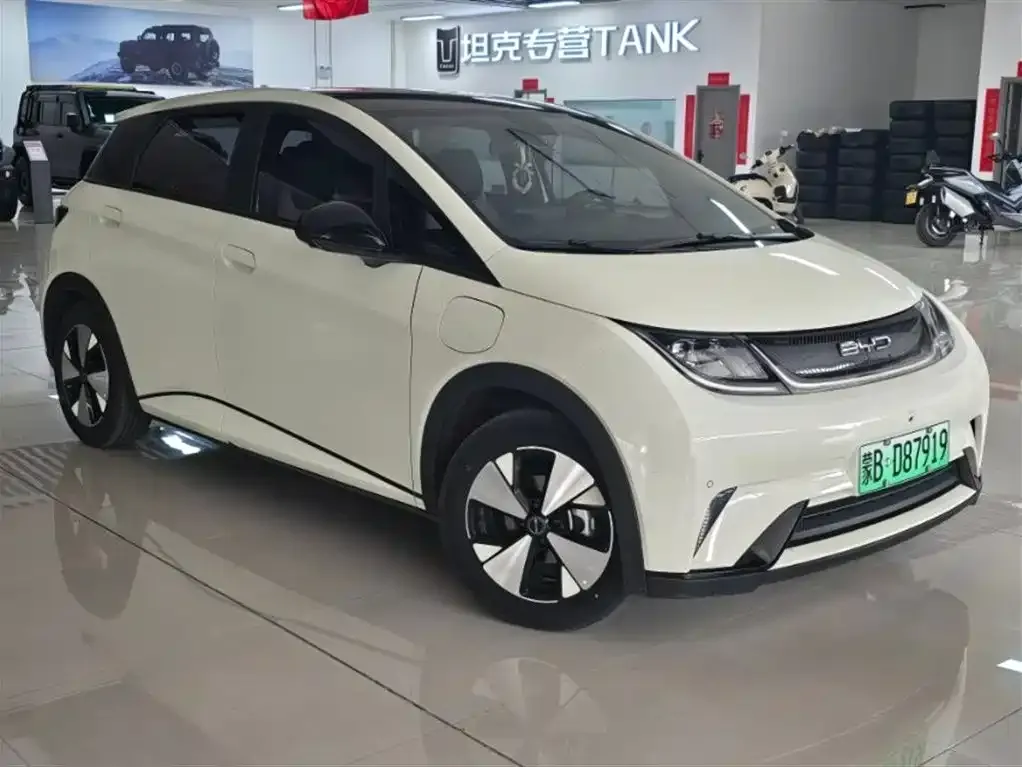 BYD Dolphin 2023 из CN, фото 3