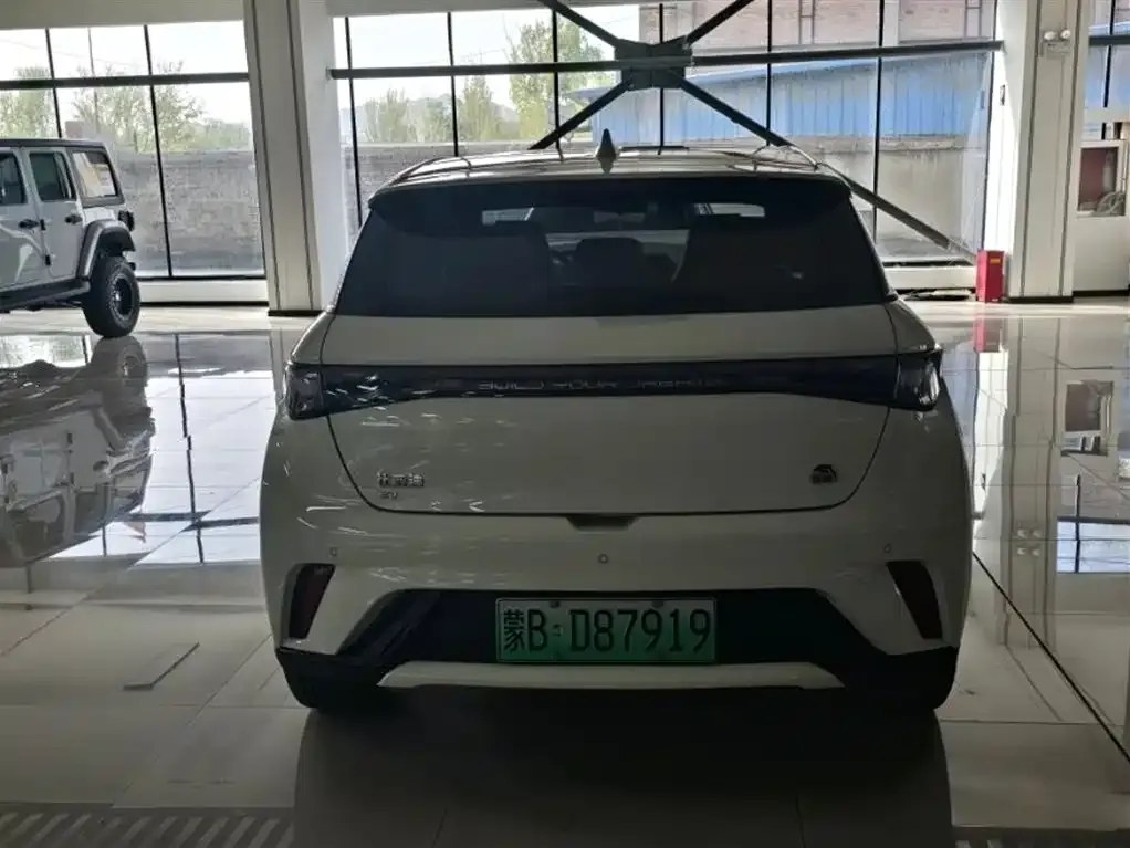 BYD Dolphin 2023 из CN, фото 5