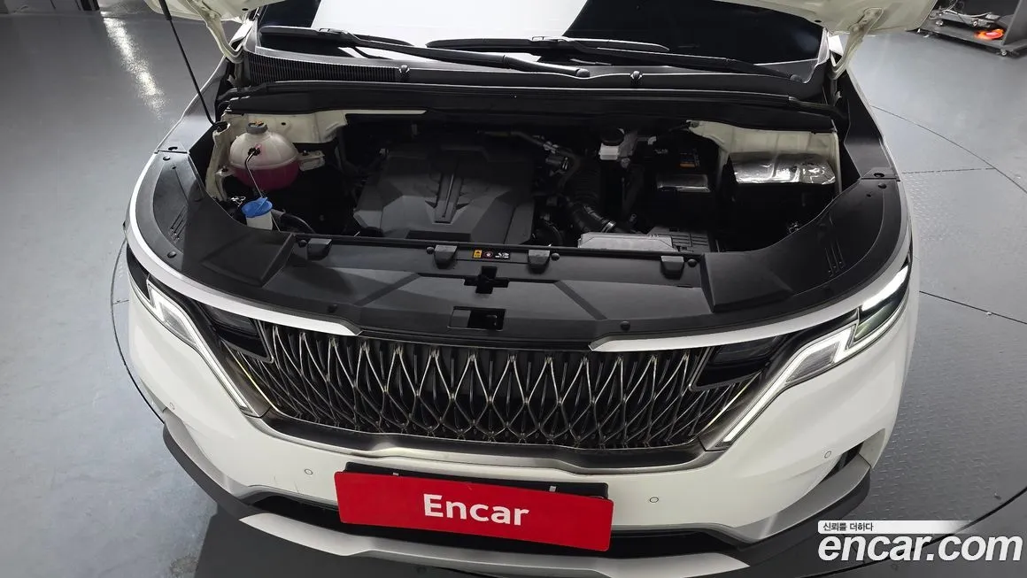Kia Carnival — фото 10