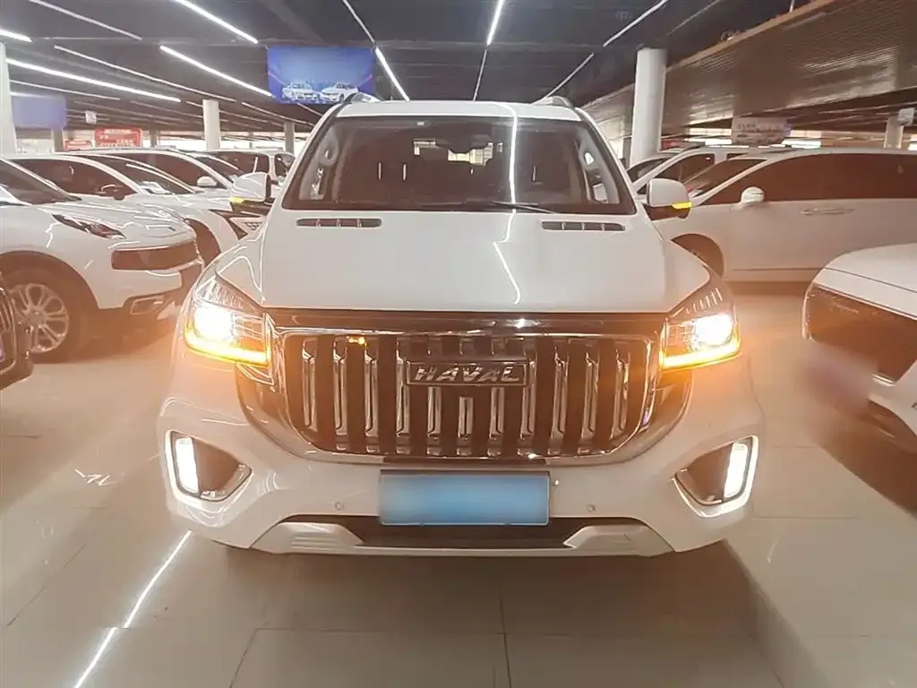 Haval H9 2023 из CN, фото 6