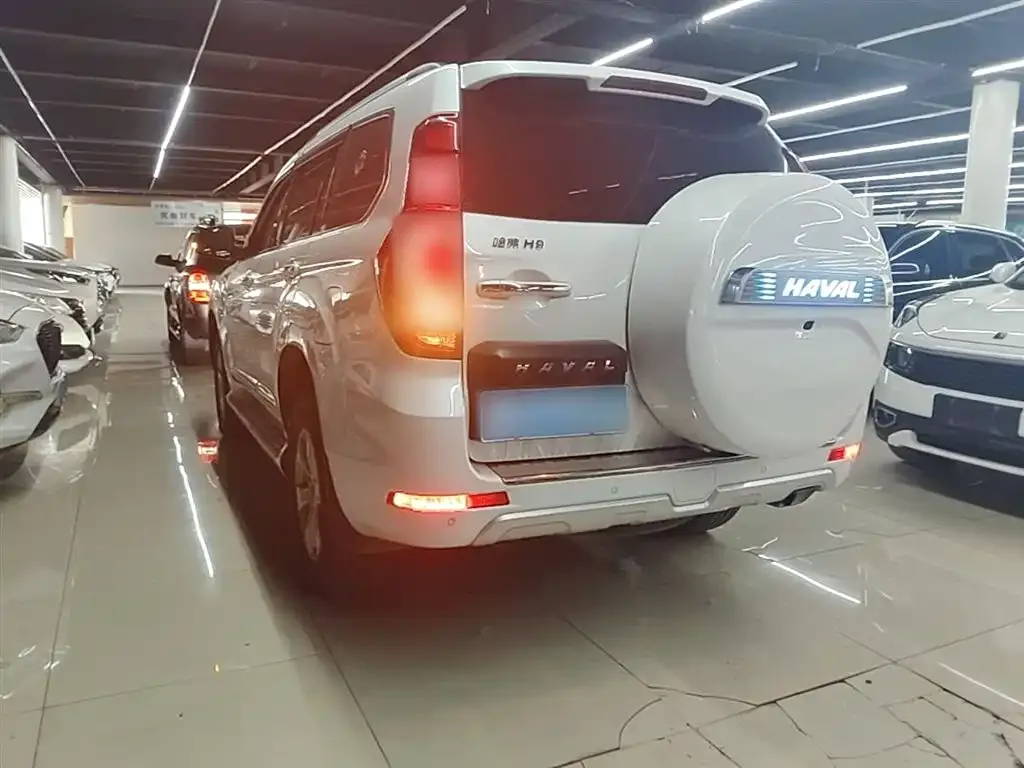 Haval H9 2023 из CN, фото 5