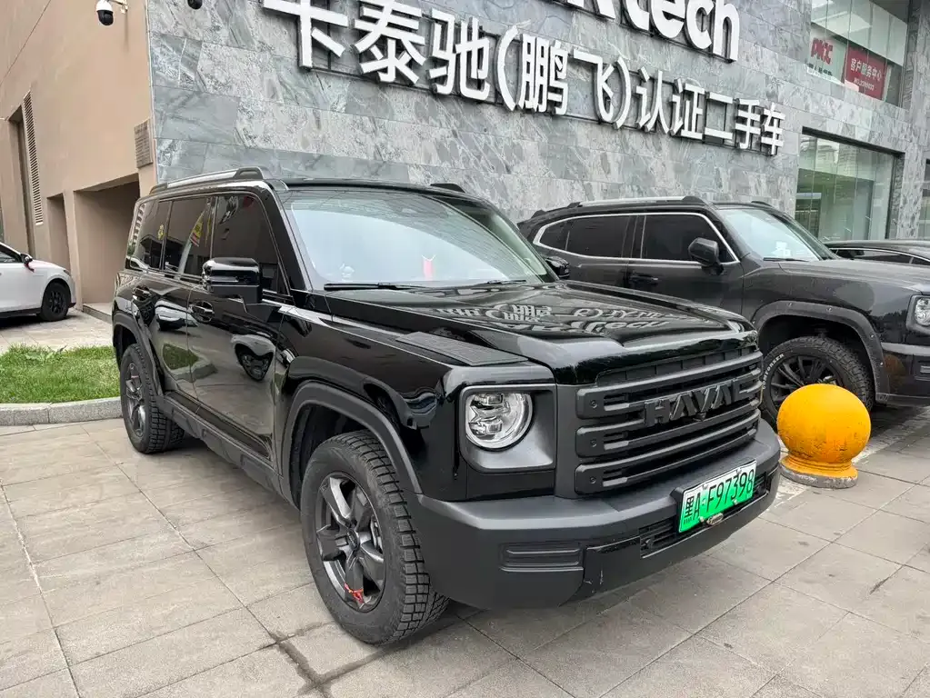 Haval Menglong New Energy — фото 10