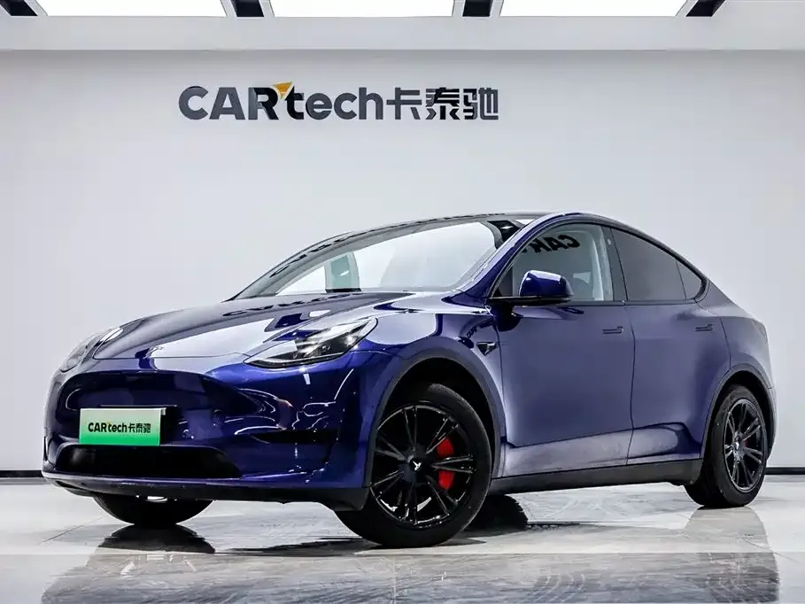 Tesla Model Y — фото 8