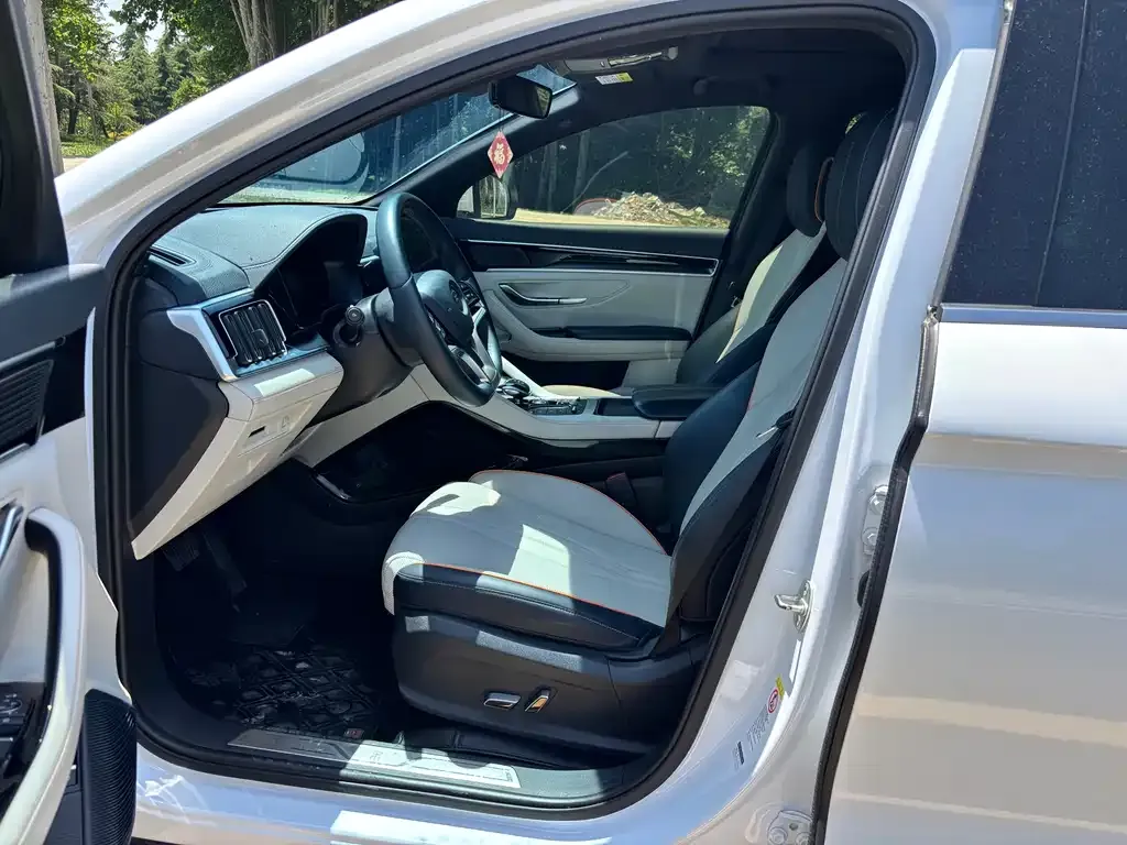 BYD PLUS New Energy 2023 из CN, фото 8