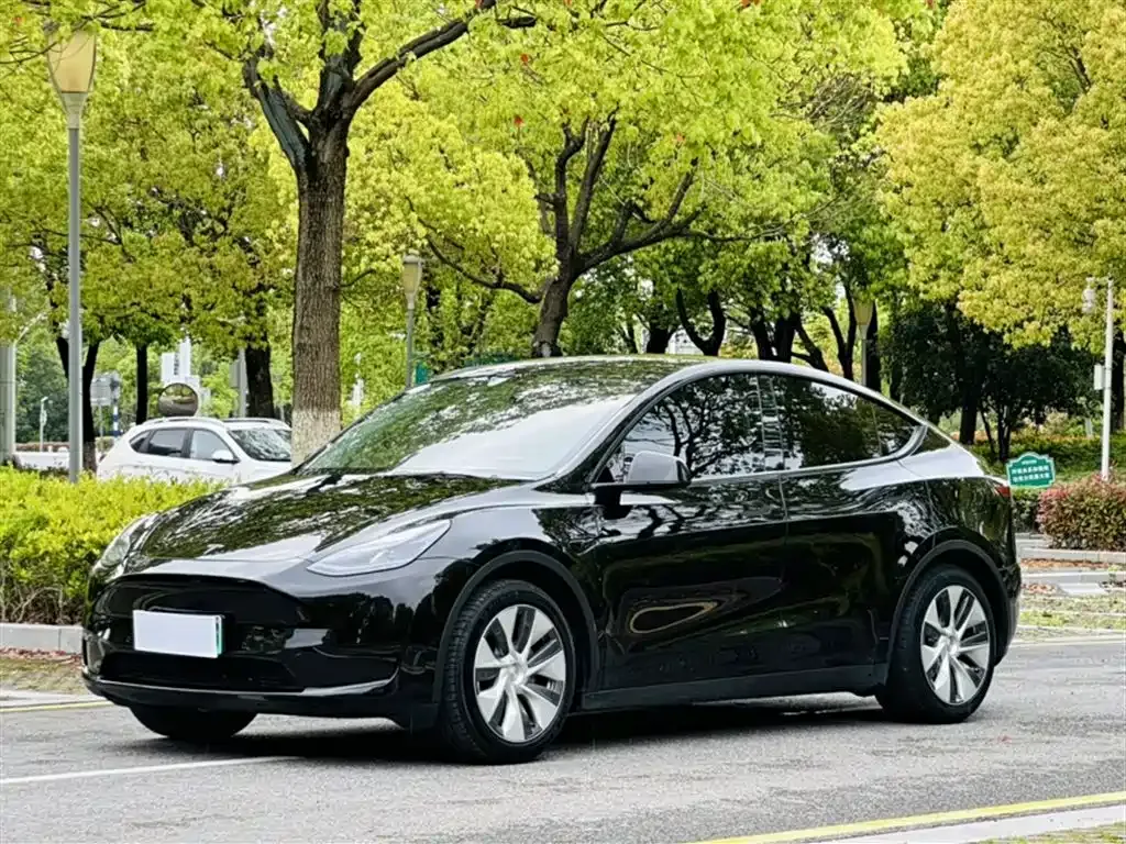 Tesla Model Y — фото 6