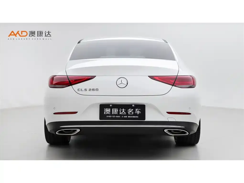 Mercedes-Benz CLS 2021 из CN, фото 3