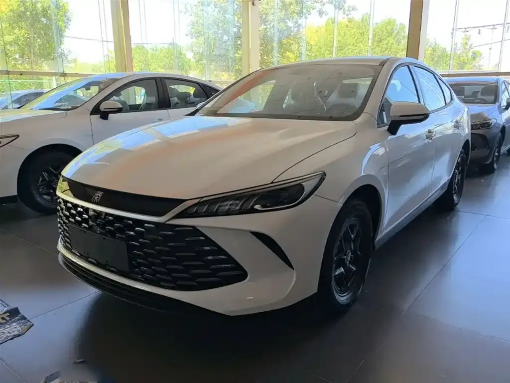 BYD Qin PLUS — фото 10