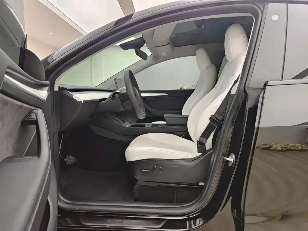 Tesla Model Y — фото 9