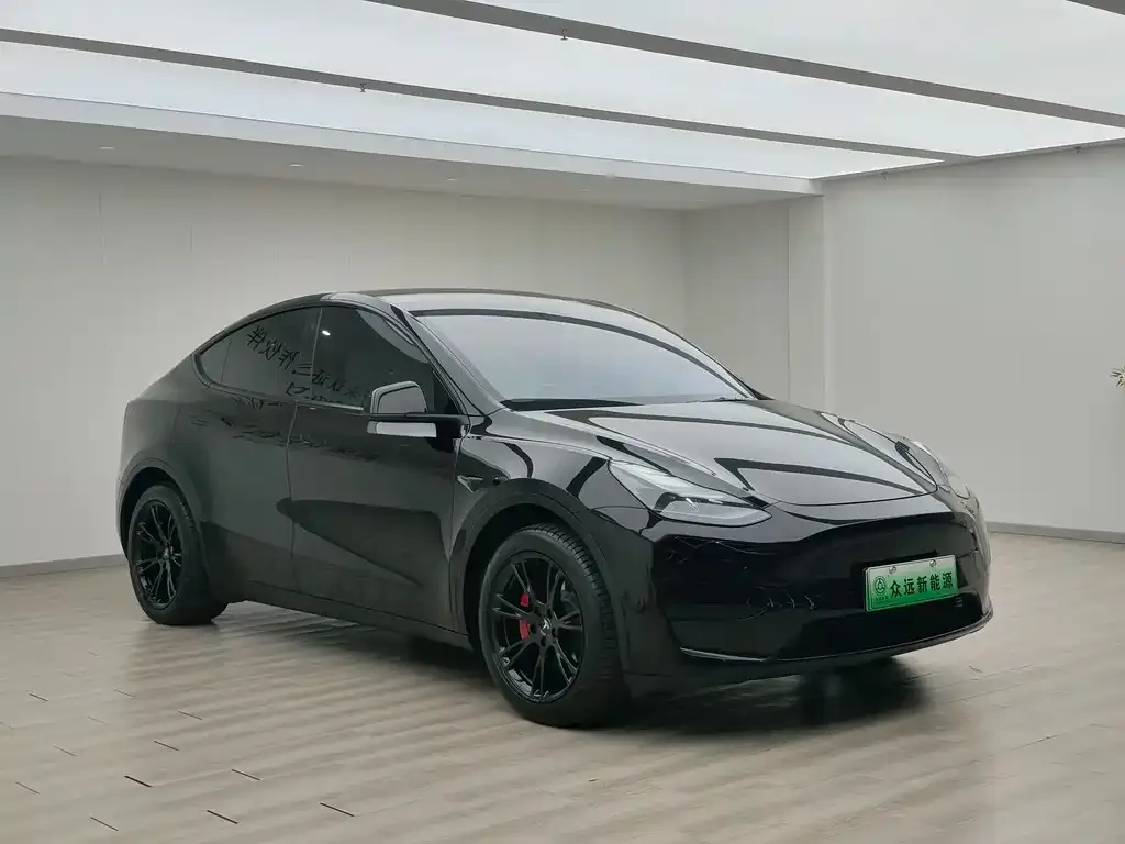 Tesla Model Y — фото 5