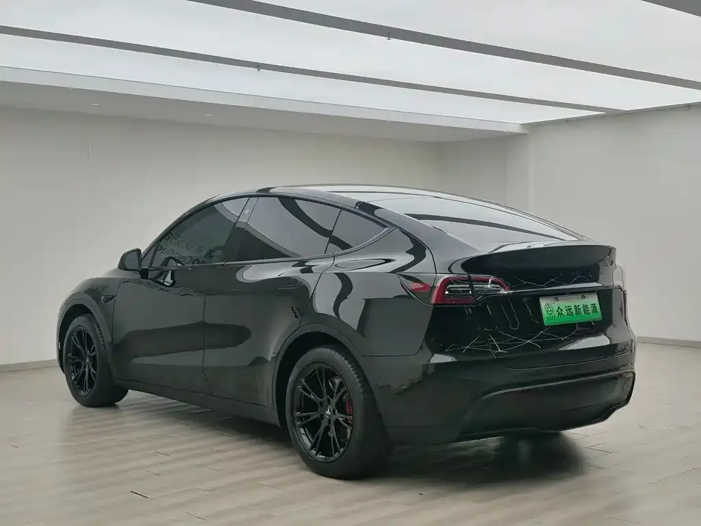 Tesla Model Y — фото 6
