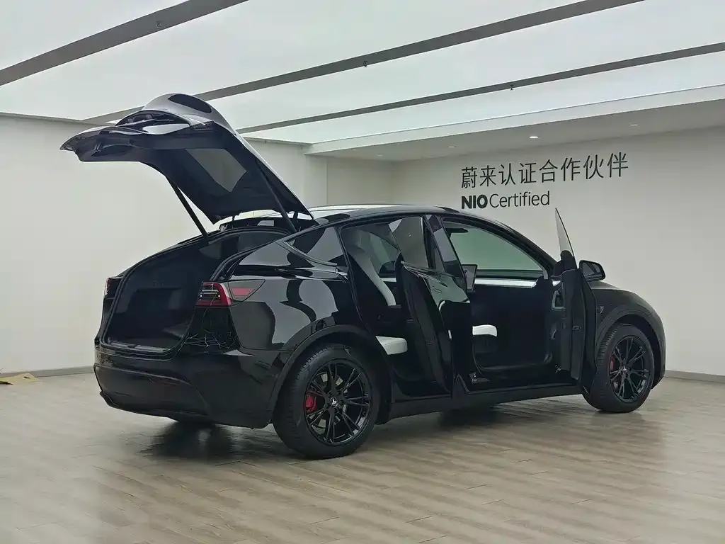 Tesla Model Y — фото 8