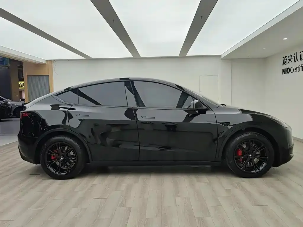 Tesla Model Y — фото 10