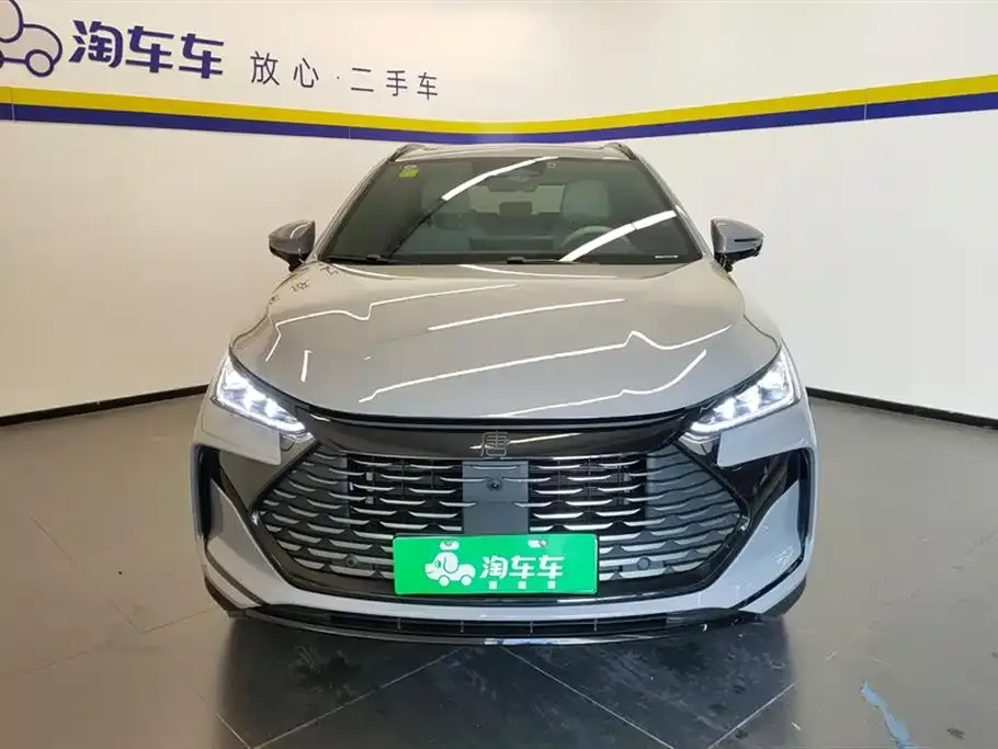 BYD Tang New Energy — фото 2