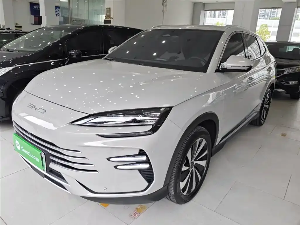 BYD PLUS New Energy — фото 8