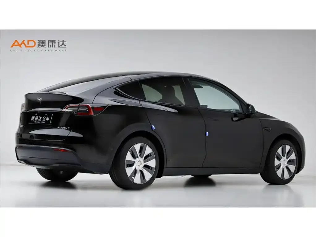 Tesla Model Y — фото 8