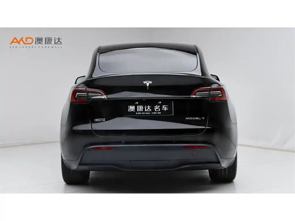 Tesla Model Y — фото 9