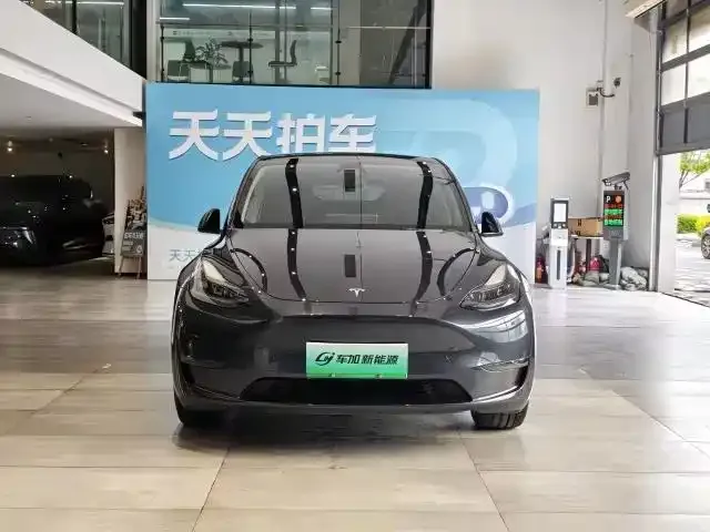 Tesla Model Y — фото 3