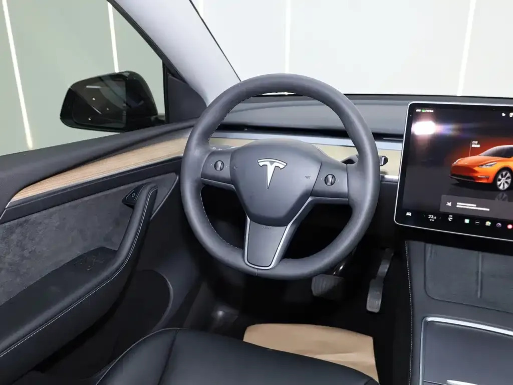 Tesla Model Y — фото 8