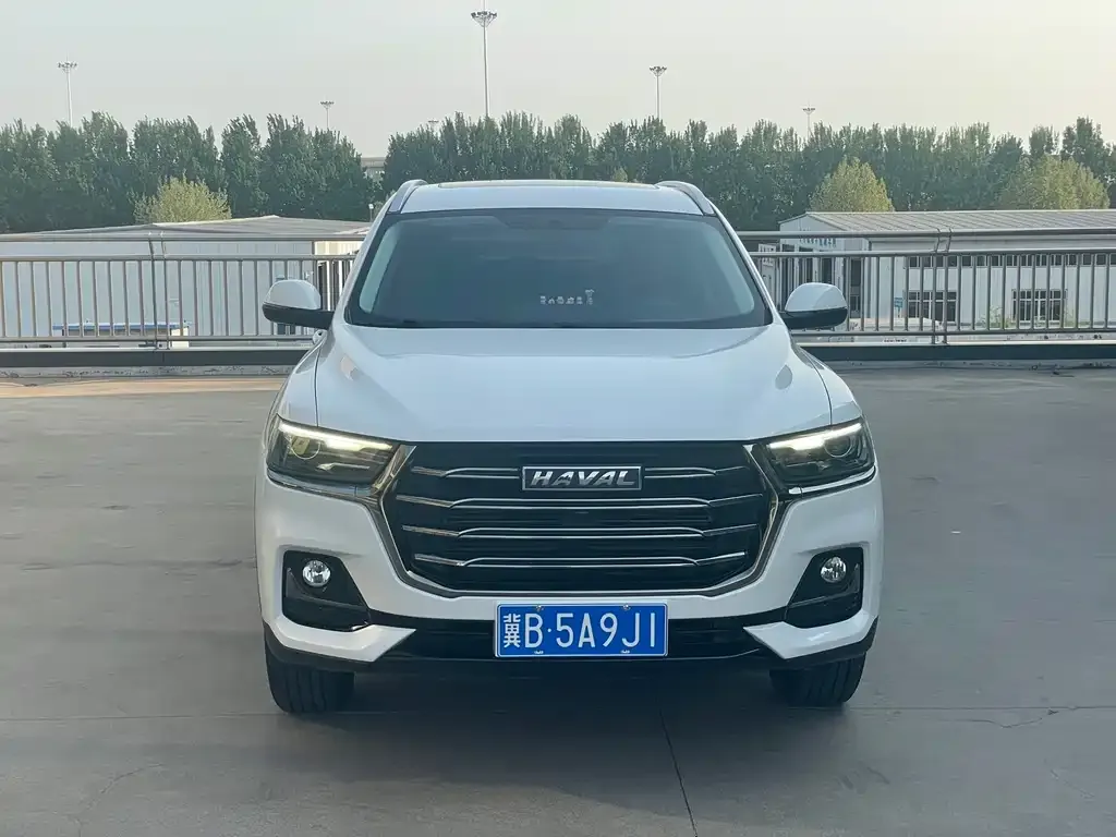Haval H6 2021 из CN, фото 4