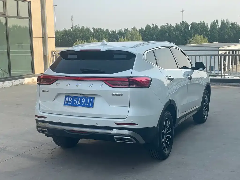 Haval H6 2021 из CN, фото 8