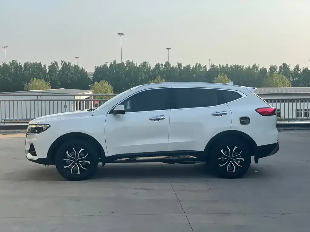 Haval H6 2021 из CN, фото 3