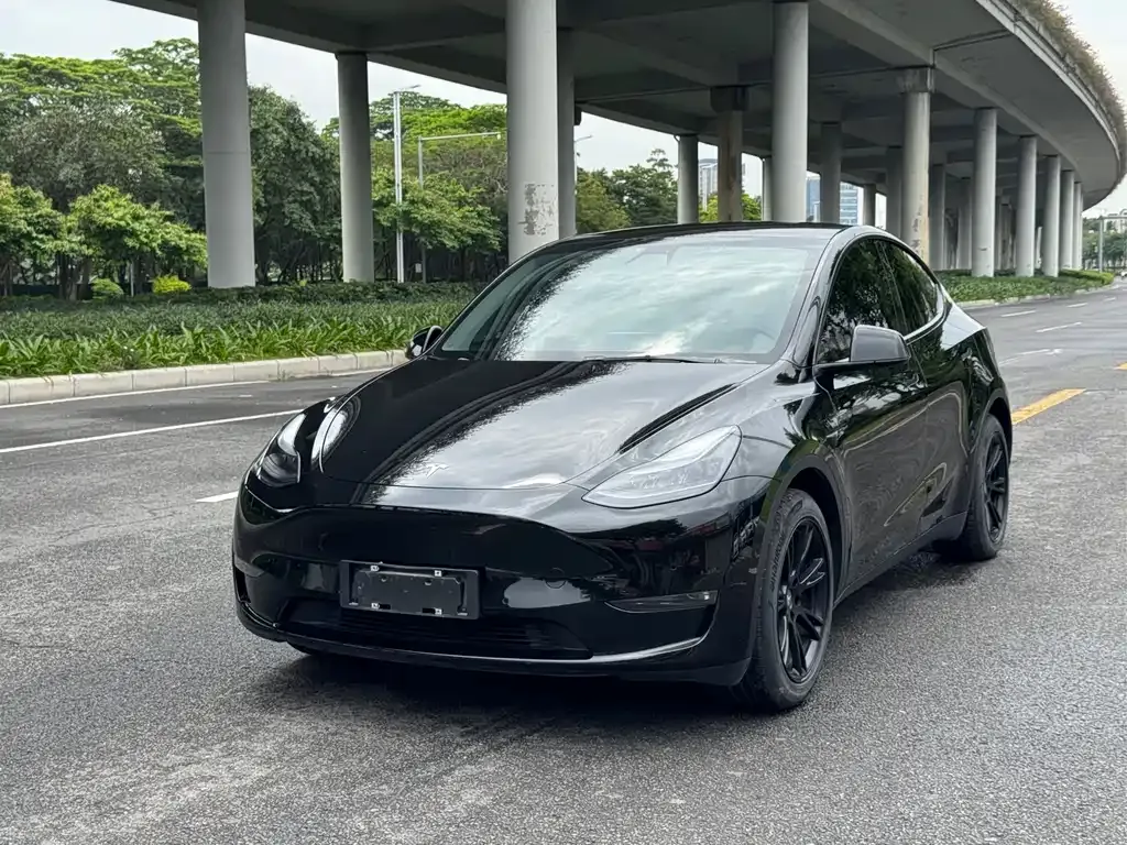 Tesla Model Y 2021 из CN, фото 1