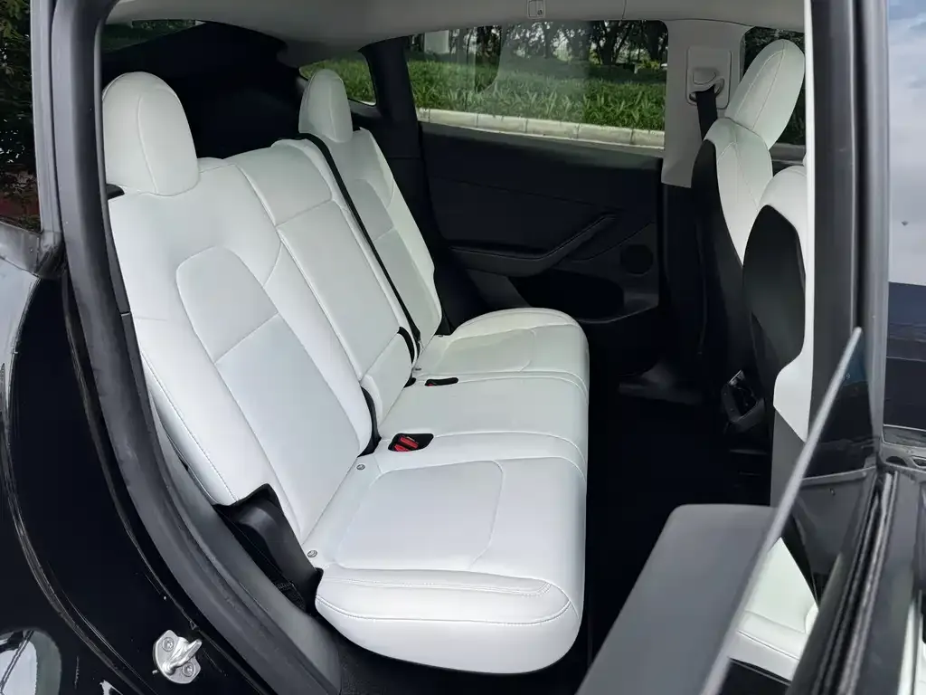 Tesla Model Y 2021 из CN, фото 5