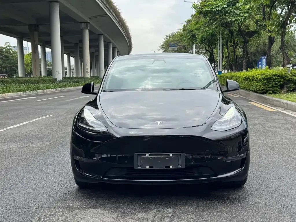 Tesla Model Y 2021 из CN, фото 9
