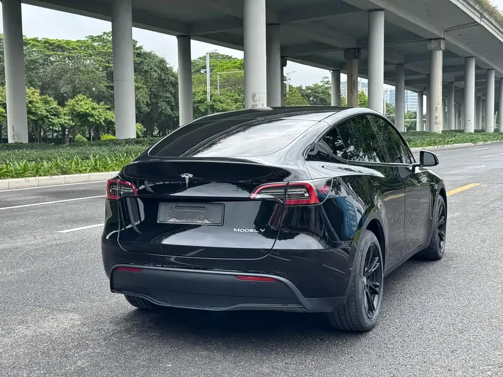 Tesla Model Y 2021 из CN, фото 10