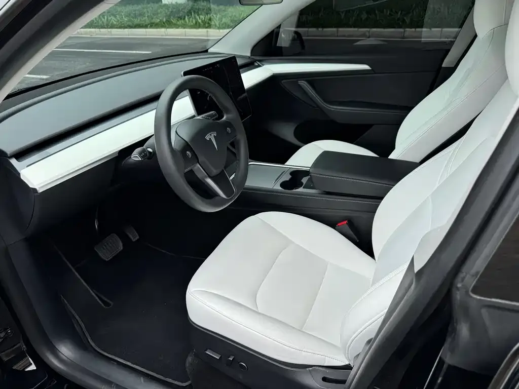 Tesla Model Y 2021 из CN, фото 7