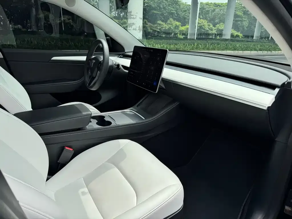 Tesla Model Y 2021 из CN, фото 8
