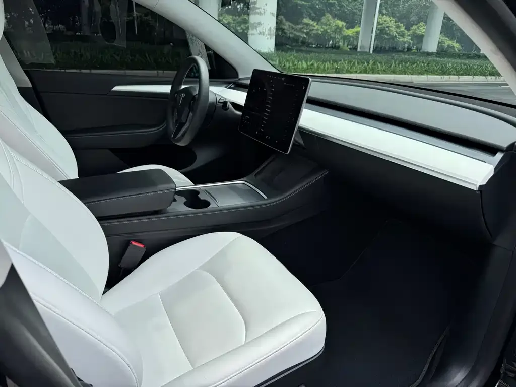 Tesla Model Y 2021 из CN, фото 4