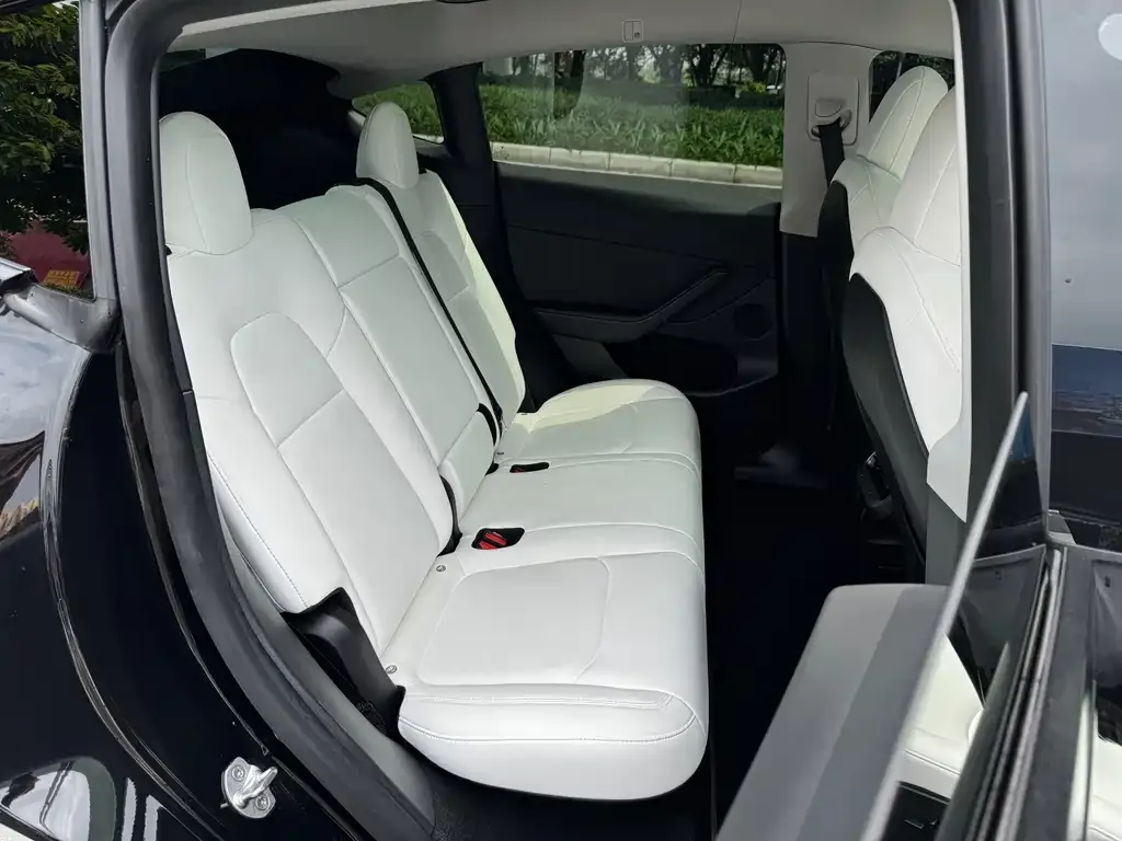 Tesla Model Y 2021 из CN, фото 6