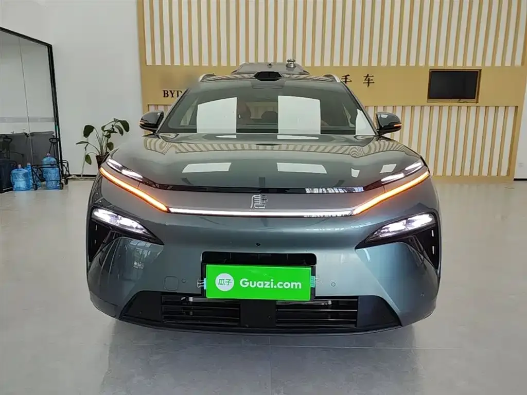 BYD Tang L 2025 из CN, фото 6