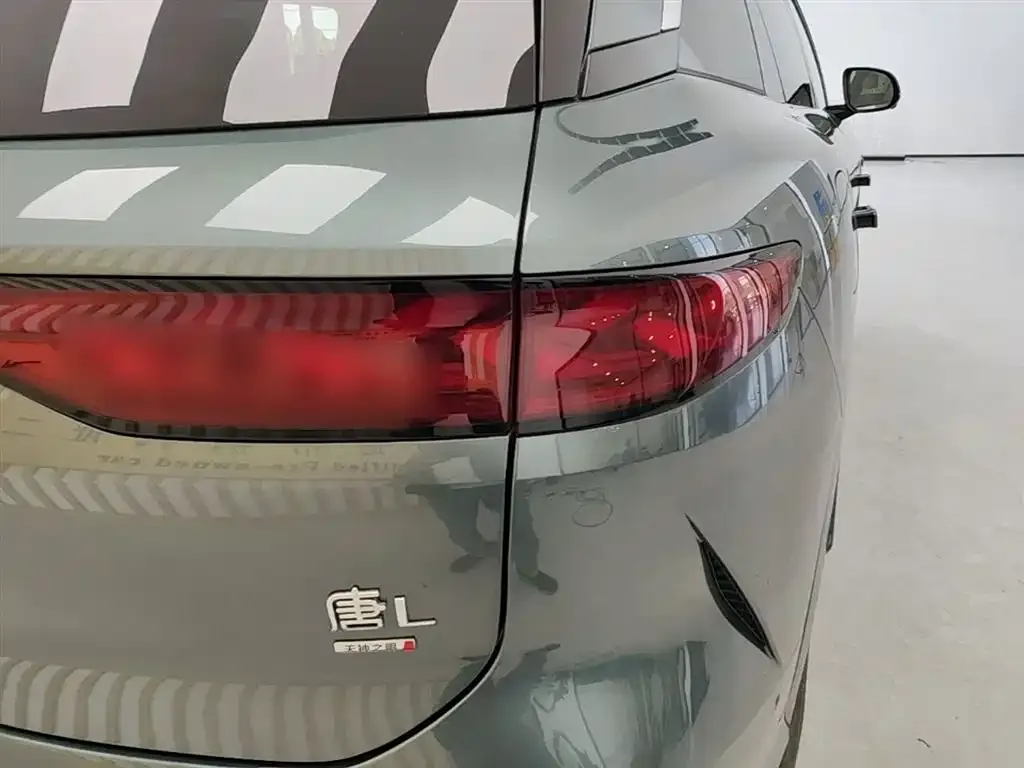 BYD Tang L 2025 из CN, фото 2