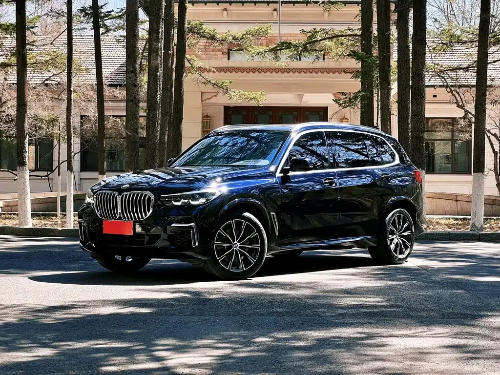 BMW X5 — фото 1