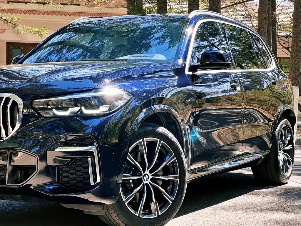 BMW X5 — фото 5