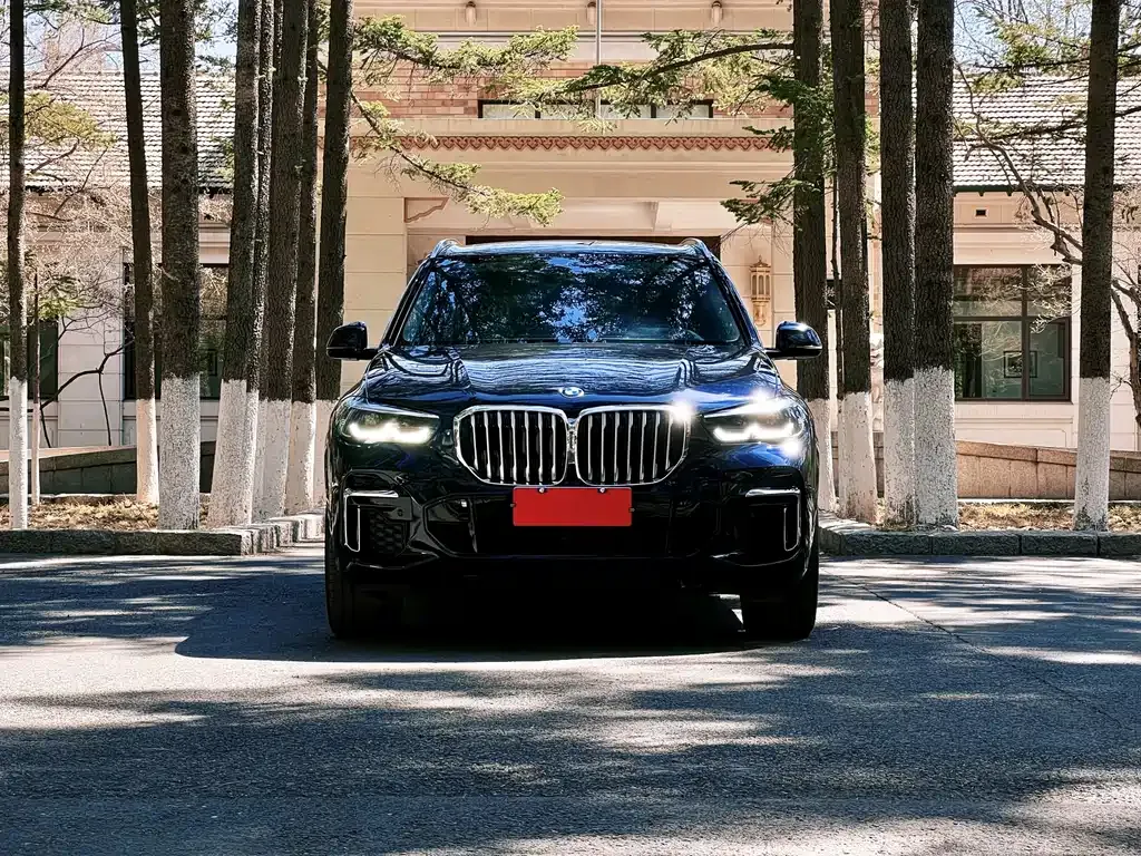 BMW X5 — фото 10