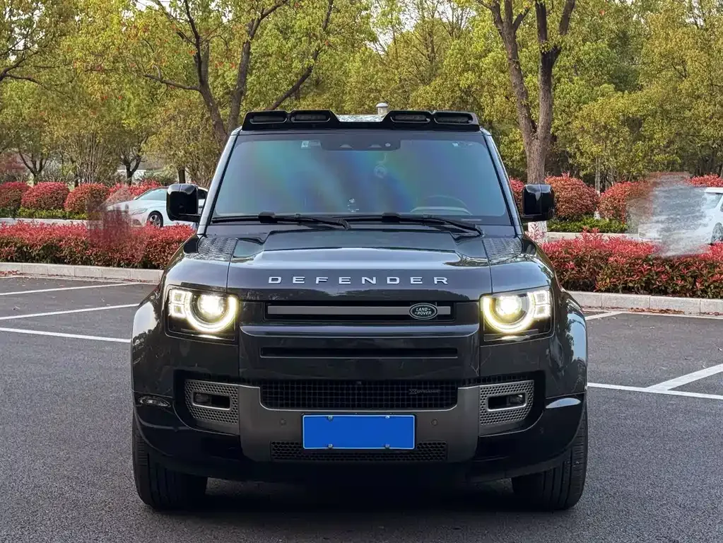 Land Rover Defender 2023 из CN, фото 6
